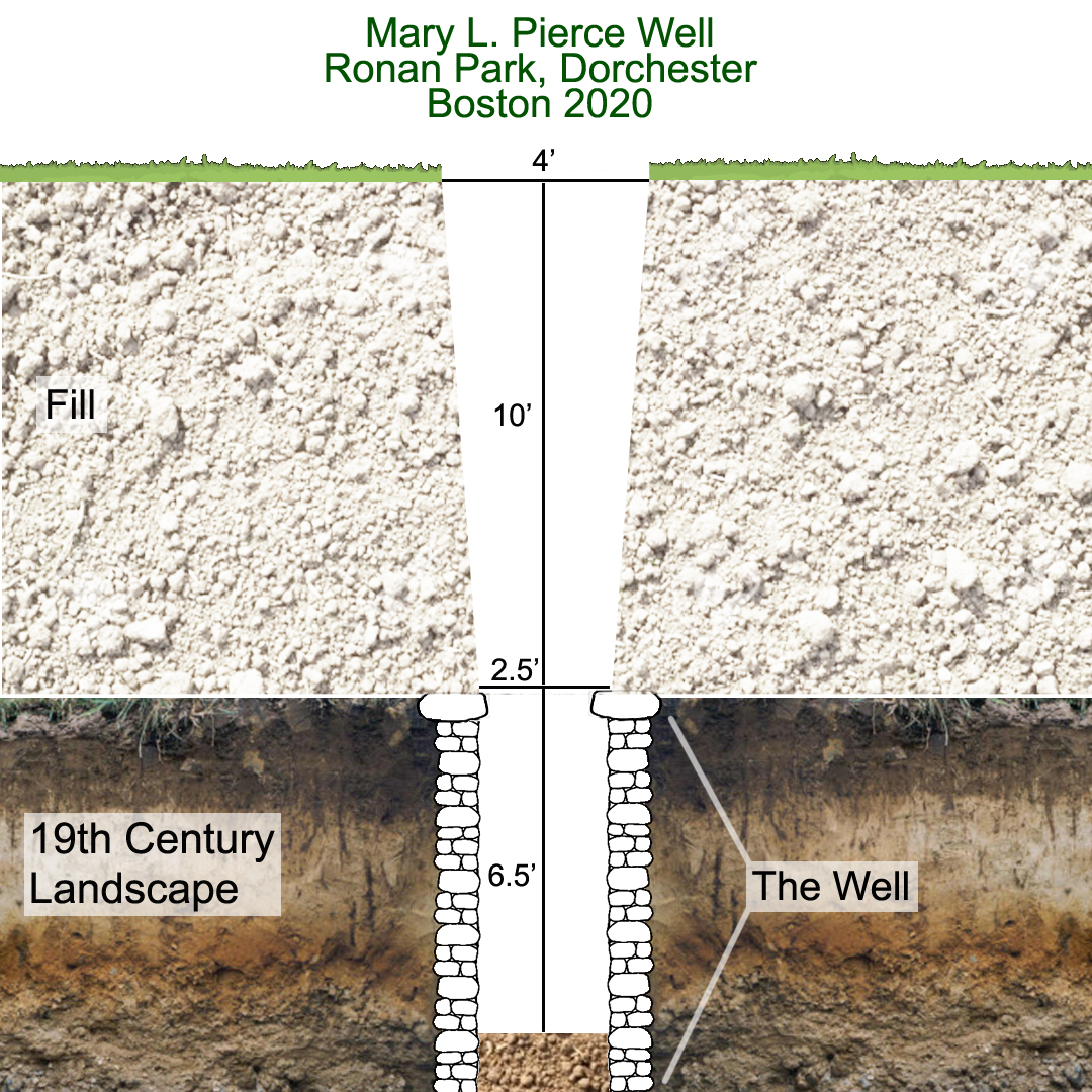 An important math lesson from your local Boston  #archaeology team. Like many of you, we were wondering how many Dunkies medium iced coffees (extra extra) would take to fill in the Mary L. Pierce well in Ronan Park, aka the  #DorchesterSinkhole. Well, your wait is over. 1/