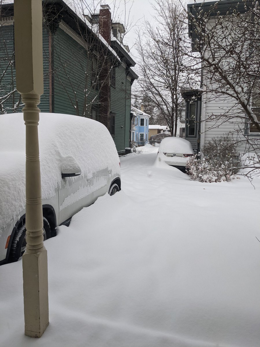 hayleybicycle's tweet photo. Dog loves jumping in the snow, probably thinks it's all just for him since he's so excited and we just trudge along behind him. 

Also, what are the odds we drive one of these cars out of our driveway today? I'm trying to fly home to 70 &amp; sunny. https://t.co/TIJun57TMt