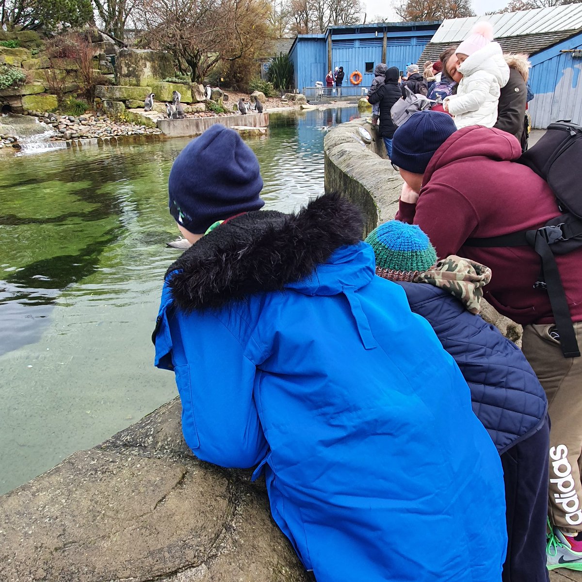 GormanNici's tweet photo. This morning was a trip to the zoo. Where the children chatted to staff about the animals and Covid-19, made friends with other children and were super excited to finally get a peek of the crocodile monitor! #homeedinsight #HomeEdSafeAndWell #HomeEdNotMissingEd https://t.co/dS2QLpCGEY