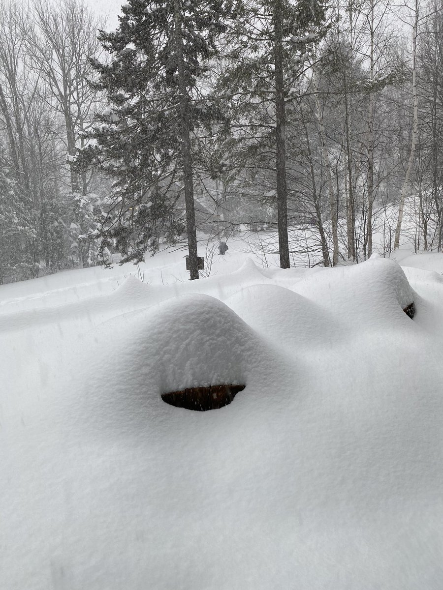 Michael Ellenbogen tweet media