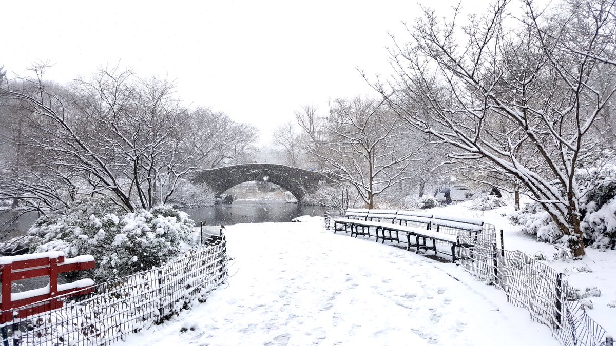 NYCParks's tweet photo. Good morning from Central Park! https://t.co/qElhsp148g
