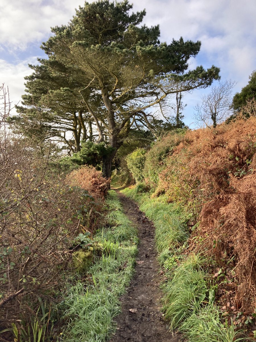 ChaddTrevor's tweet photo. Cornwall coastal path 6.8 miles 108 floors bow ready for a liquid lunch https://t.co/ARuSBjzMh6