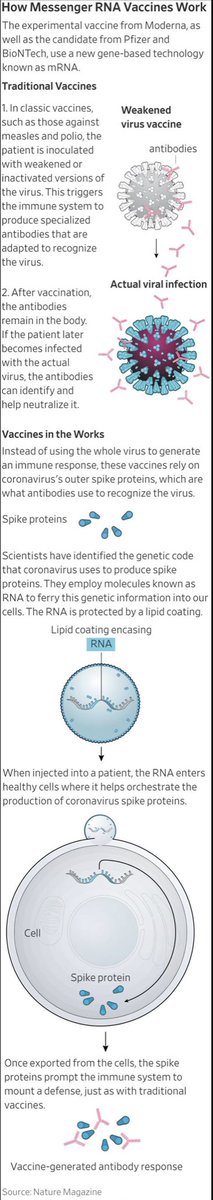 Neeraj Agarwal, MD, FASCO tweet media