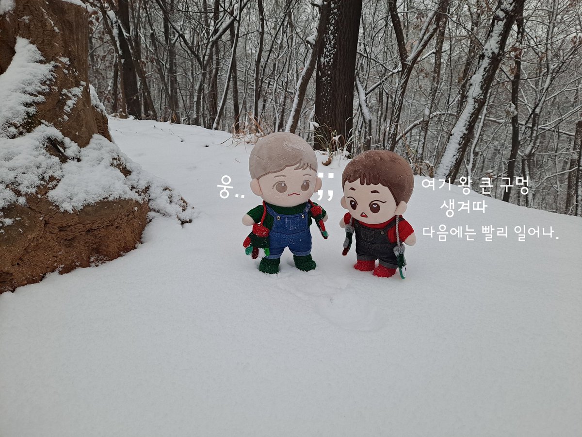 갑자기 큐이가 쿵해따...ㆁㅿㆁ