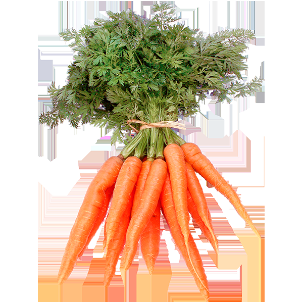TotalCommOrg's tweet photo. You know you have made students as obsessed as you are about #accessibleinformation when one of them mid-presentation explains she spent 15 minutes picking a photograph or carrots!😂😂 @Photosymbols @racheljstarkey @KevanFiona @SLT2B @RCSLT @includeorg  made my day! https://t.co/oD81ZGRbPm