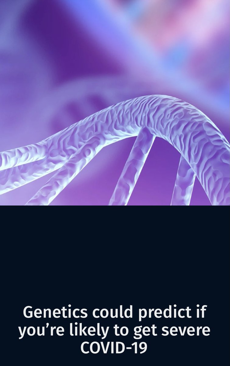 Vanessa Sancho-Shimizu tweet media