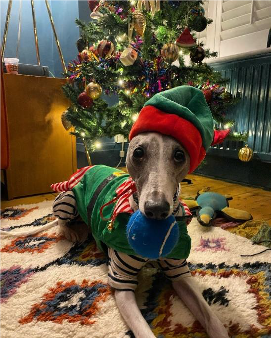 90TEN's tweet photo. This week at 90TEN, we’ve been busy spreading festive cheer! Although we can’t be together this year, we've been keeping in touch by sharing our favourite #Christmas activities. Check out how our team has been getting in the spirit! 🎅🎄 #healthcarepr #medcomms https://t.co/JPkDO8xyVd