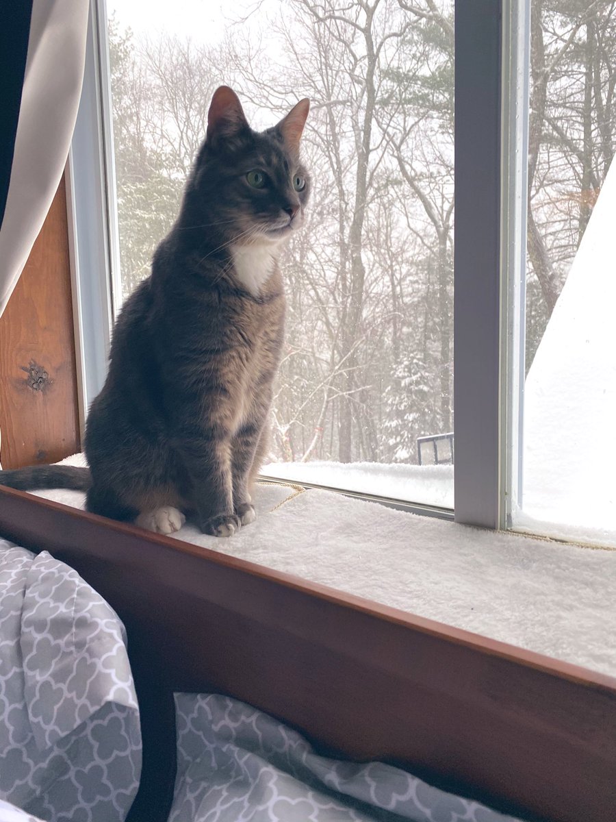 Yesselou's tweet photo. 8 years since I’ve see snow, still beautiful. My little boy is loving it too (: https://t.co/LeZOQOhcxY