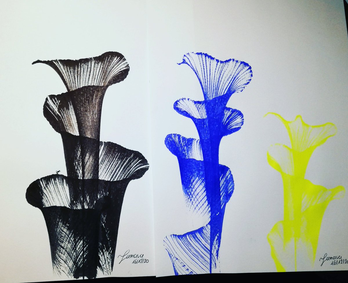 kunstchaos1's tweet photo. Unglaublich was man mit einen Faden und etwas Tinte anstellen kann 👍👌😁
#kunst #tinte #ink #faden #gerstaecker #kreativ #Creative #blume #flower #pelikan #iloveart https://t.co/vxVWwwZGMk
