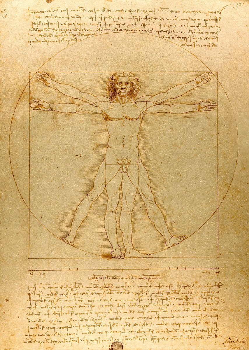 104/ L’Homme de Vitruve - Dessin de Léonard de Vinci (1490). Steel Ball Run - Chapitre 20 (2004).