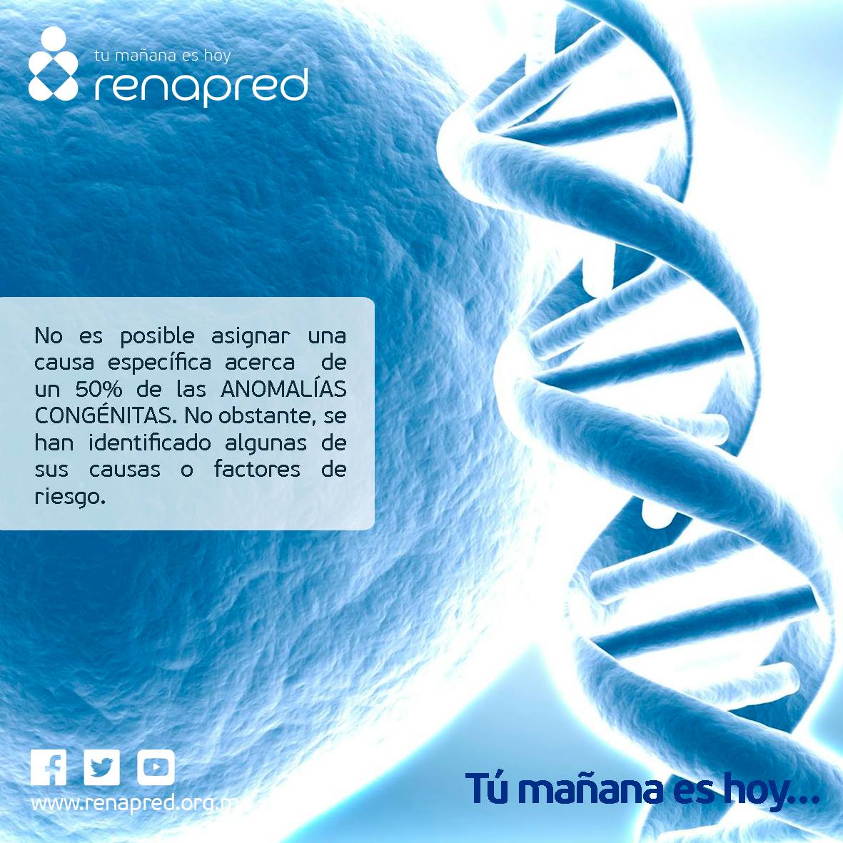 #Sabíasque: No es posible asignar una causa específica a cerca de un 50% de las ANOMALÍAS CONGÉNITAS.
No obstante, se han identificado algunas de sus causas o factores de riesgo.

#TuMañanaesHoy. Para más información visita: renapred.org.mx