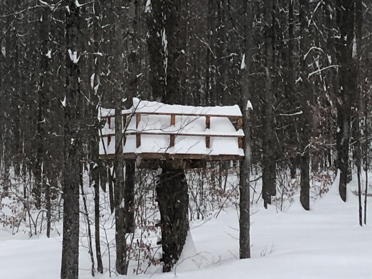 kacatallozzi's tweet photo. @WCVB from my brother in Binghamton, NY 46” on his back deck https://t.co/M5bNTxgjNS