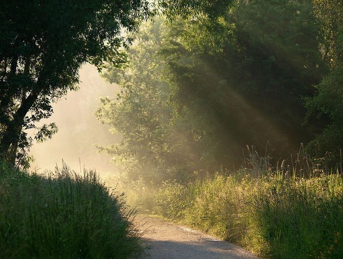 cherykonavelli's tweet photo. 𝘭𝘦𝘵'𝘴 𝘨𝘰 𝘧𝘰𝘳 𝘢 𝘸𝘢𝘭𝘬 🍃 https://t.co/WaRH4jzQub