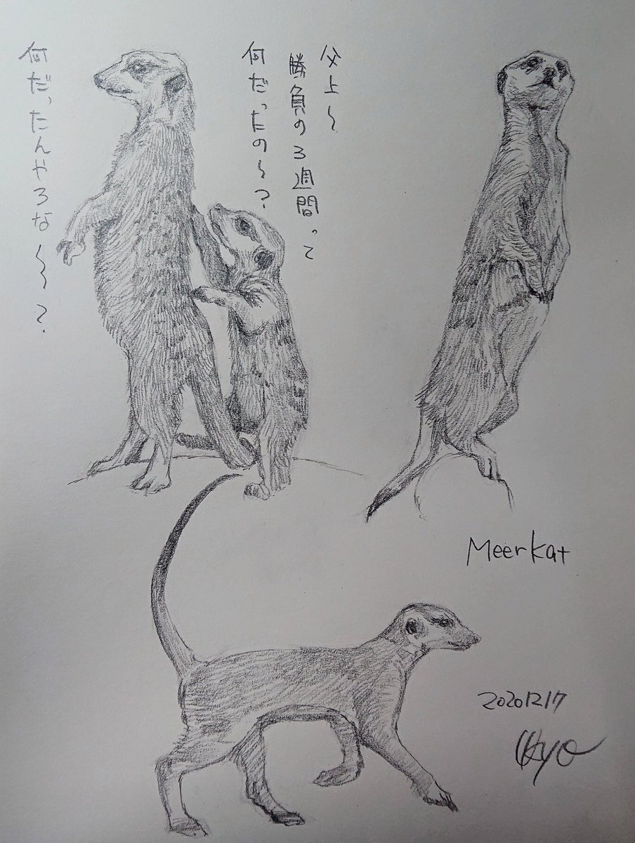Kagetsu Ukyo 卯京 華月 今日の落書き ミーアキャットづくし 毎回苦戦してる細さ 落書き 鉛筆画 デザイン 練習 素描 一日一絵 今日の落書き 絵描き Art 絵描き人 絵描きの輪 絵描きさんとつながりたい イラストの森 イラスト基地 Kagetsu Ukyo 卯京 華月 今日の落書き ミーアキャットづくし 毎回苦戦してる細さ 落書き 鉛筆画 デザイン 練習 素描 一日一絵 今日の落書き 絵描き Art 絵描き人 絵描きの輪 絵描きさんとつながりたい イラストの森 イラスト基地