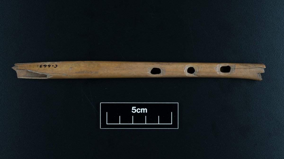 On the eleventh day of Christmas the  @YorkshireMuseum gave me: a pipers pipe! We have this fragment of a  #Viking flute made from a swan's or crane's bone with three finger holes.