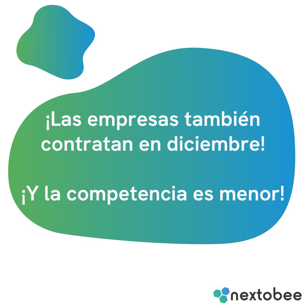 nextobee tweet picture