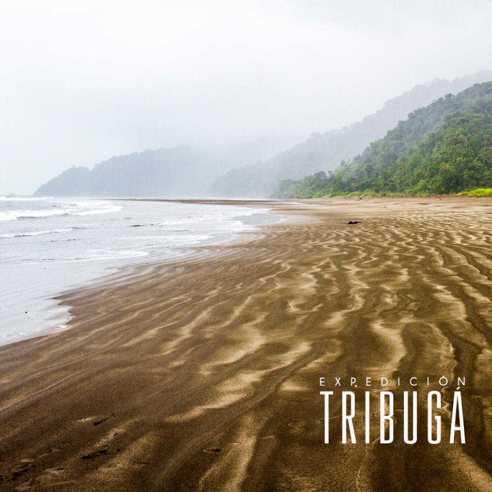 exptribuga's tweet photo. La conservación de la biodiversidad no es un tema de inclinaciones políticas, es una responsabilidad de todos!!!
.#Colombia #tribuga #savechoco #biodiversity #conservation #natgeoyourshot #natgeo @mission_blue @fundacionmarviva #rainforest #forests https://t.co/NQ9JNrPByO