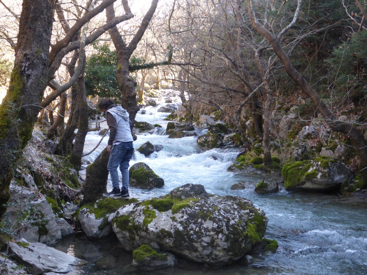 menalontrail's tweet photo. Ήμουν βουνό,ήσουν θάλασσα &amp; άλλο τρόπο δεν είχαμε να έλθουμε κοντά.Έκανες εσύ τα όνειρά σου, βροχή &amp; χιόνι &amp; έκανα τα όνειρά μου, ρέματα &amp; ποτάμια &amp; έτσι μένουμε δεμένοι με το νερό των ονείρων. Γ.Καλπούζος.

Αρκαδία! Εκεί που η αλήθεια της φύσης συναντά τα όνειρα σας! https://t.co/VJBAUA2j97