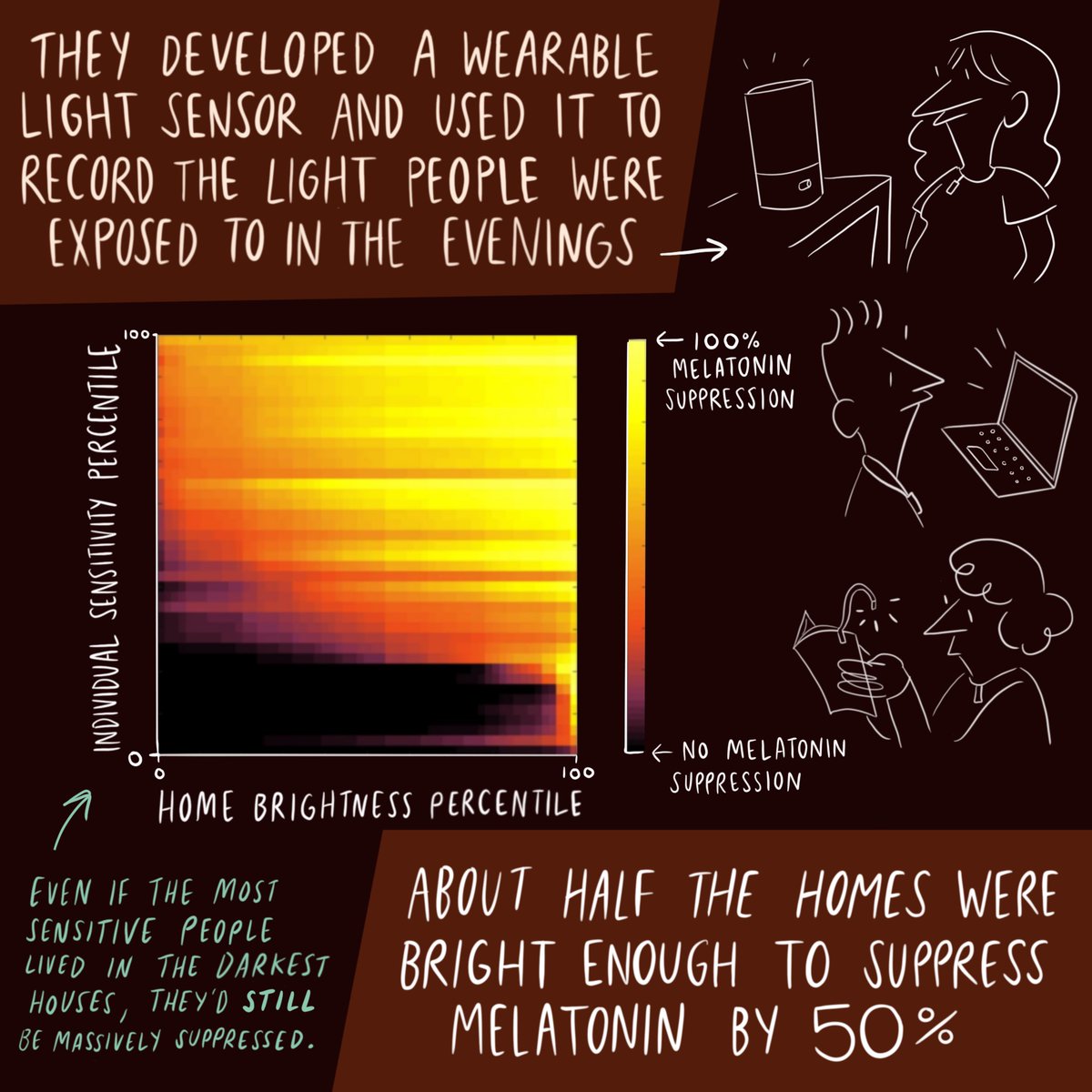 oliviawalch's tweet photo. Fan comic for cool recent science from @circadian247, @circadianumbers and the rest of the Monash circadian crew :) 

https://t.co/tG7pedCmva https://t.co/Zym8igf6F5