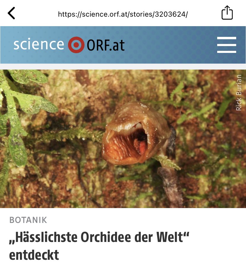 herrpaul's tweet photo. Naja bei aller Liebe, sche is wirklich net, aber #aoab https://t.co/EZWy5JzrBS