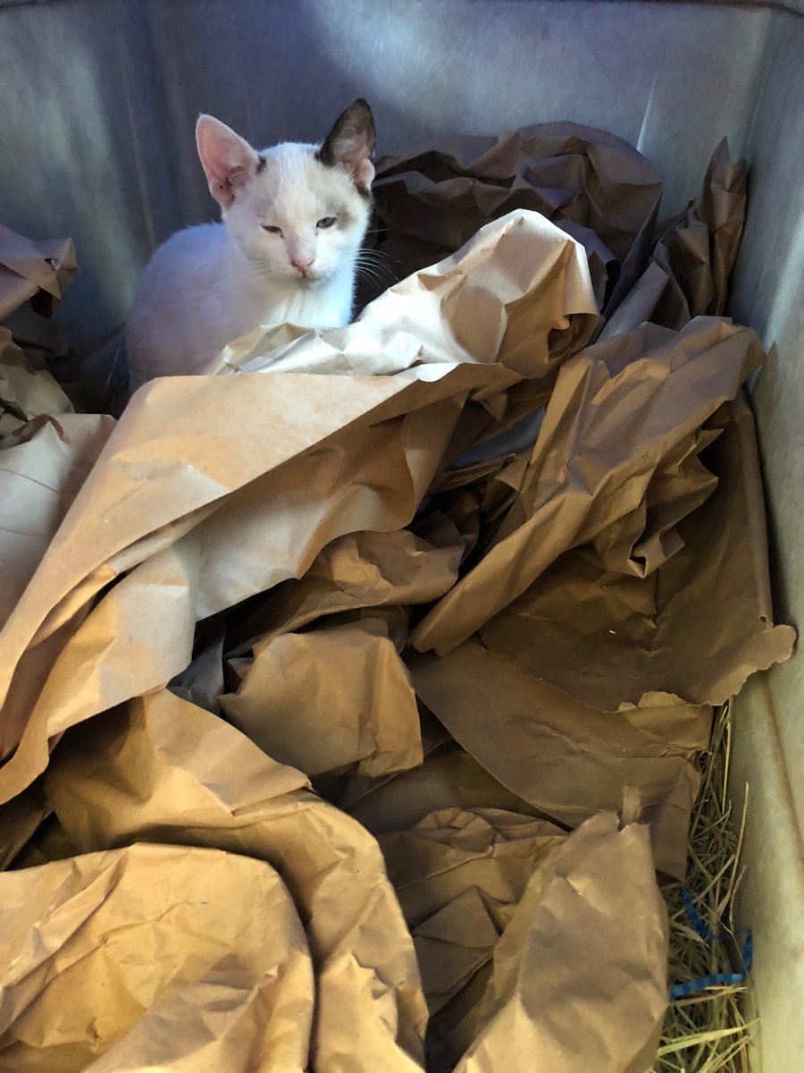 Roxy Nrmsmith1960 Twitter Roxy Nrmsmith1960 Twitter