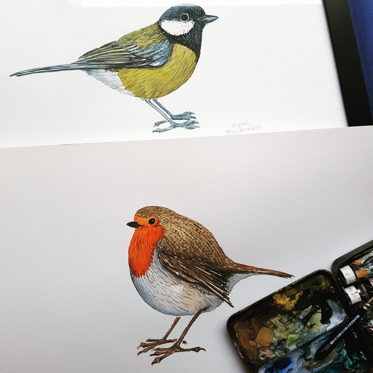 101biodiversity's tweet photo. Bird sketches - Learning the species one by one 
#watercolour #painting #Birds #biodiversity #birdwatching https://t.co/6mvJwgypyf