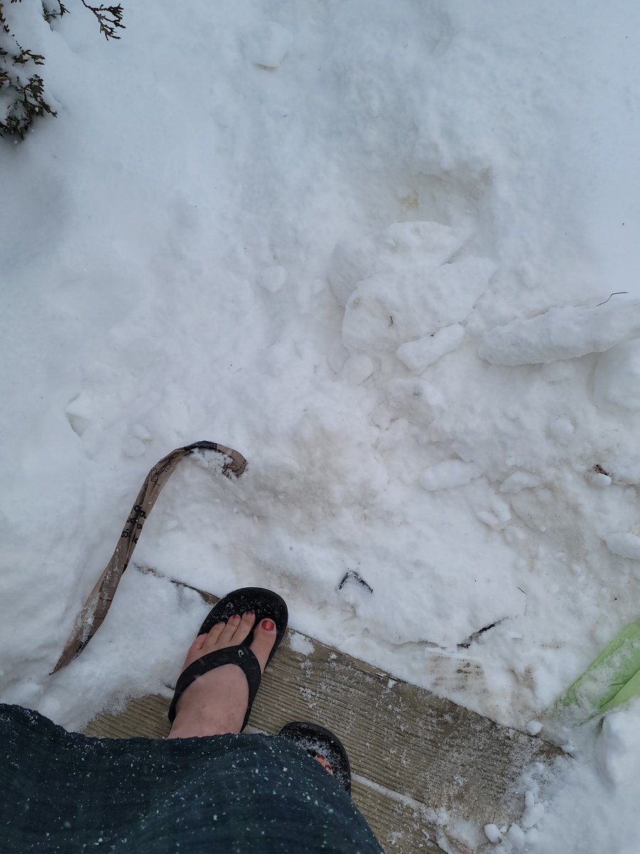 Digging out the walkway in true Maine style