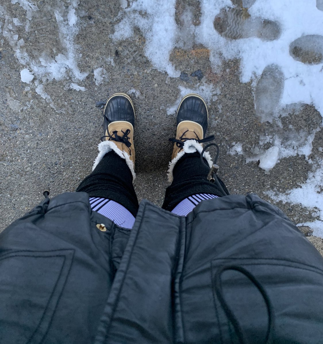 Natalia Mehlman Petrzela tweet media