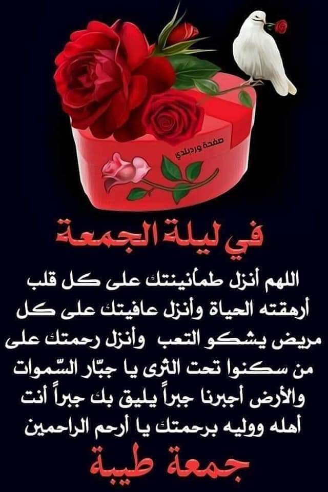 Ahmad Tawfiq (@ahmadta59037343) on Twitter photo 