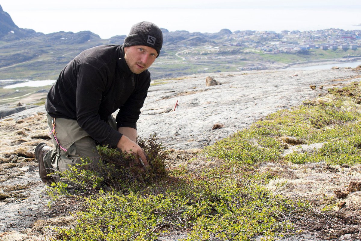 UAS4Ecology tweet media
