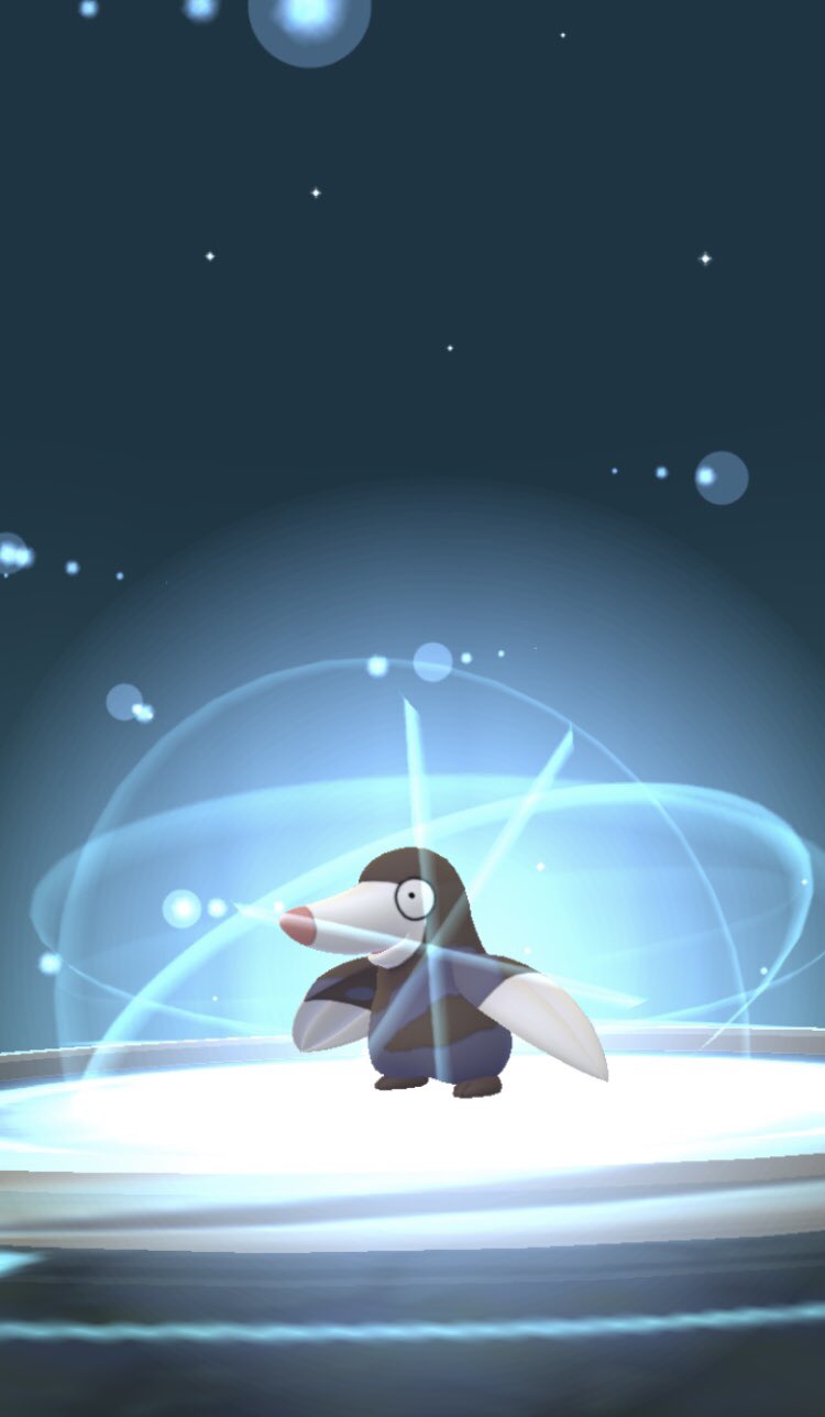 ごま油が決め手 モグリューがドリュウズに進化 ポケモンgo T Co Tgse9dctos Twitter ごま油が決め手 モグリューがドリュウズに進化 ポケモンgo T Co Tgse9dctos Twitter