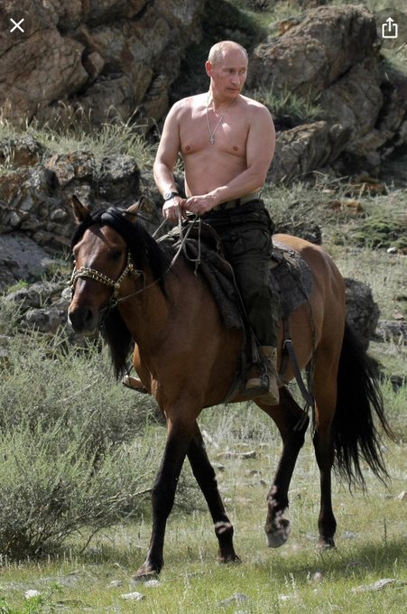 Yesterday I taught an 8th grader about Putin using only my favorite memes. The story began here and ended<a href="/tag/blackfriday"class="tags"><span>#blackfriday</span></a><a href="/tag/mistressmaitland"class="tags"><span>#mistressmaitland</span></a>