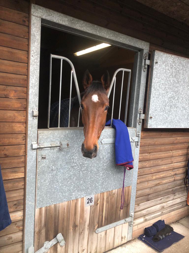 DDennisracing's tweet photo. So happy for owner Graham Saville who had to be ultra patient after Merry Mistress fractured her pastern on the gallops in February this year. But always had faith in her. 
#Bumperwinner
@HerefordRaces @tommy_bells @symondsracing @Jayboulden32 🔥🔥🔥. Great team effort. https://t.co/n6oBCHMvft