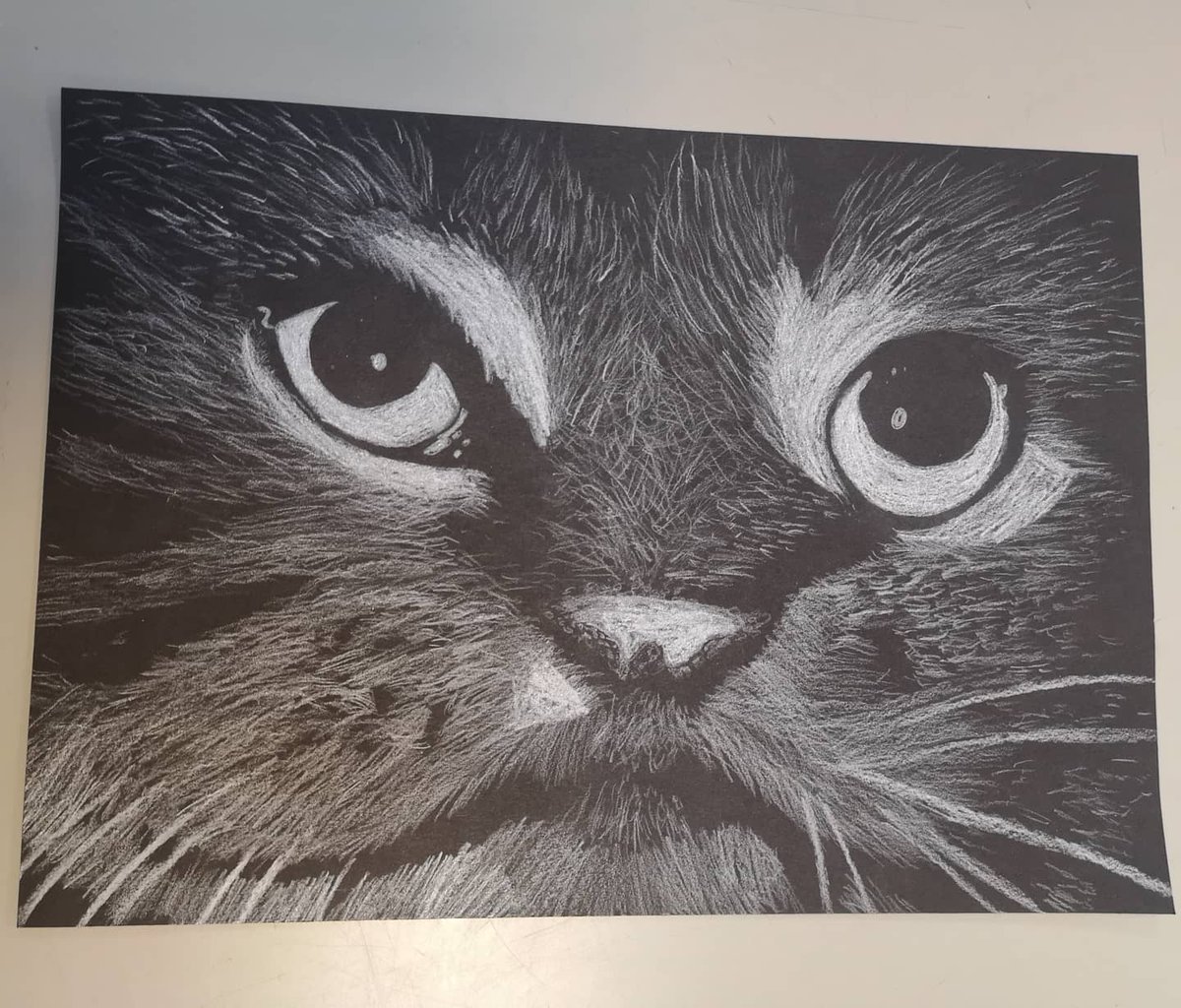 How amazing are these! S1 cat  drawings, white pencil on black background. Well done! @LochendHigh