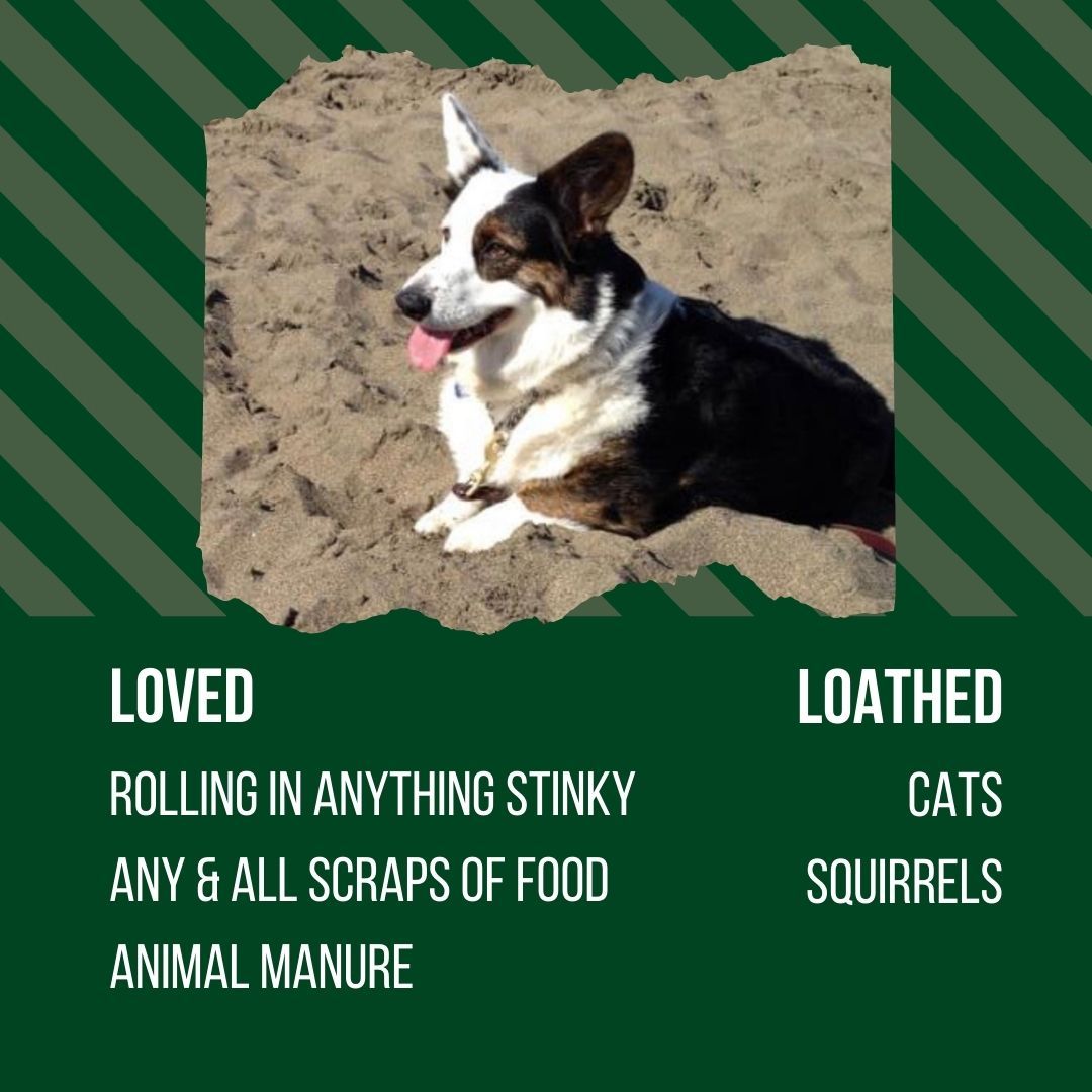 BOLT Staffing tweet media