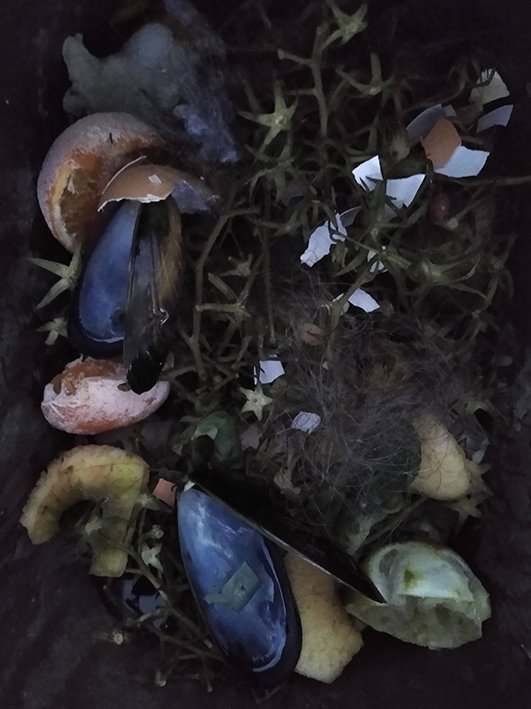 'Mussel Shells and Vines like Stars' plus two other new images are now on  lizelton.com/store/c2/Compo… as part of #artistsupportpledge framed or unframed. Sale of each print is accompanied by a donation to a UK food bank charity. <a href="/JMPaintingPrize/">John Moores Painting Prize</a> #compost