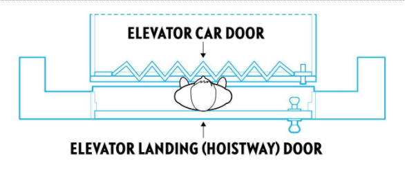 A graphic depicting a child trapped between an in-home elevator car door and elevator landing (hoistway) door.