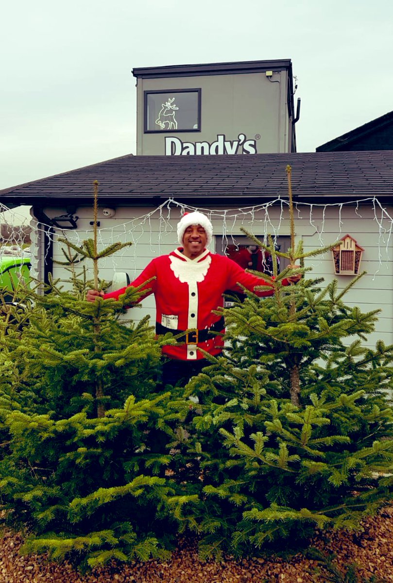 If you’re struggling to make ends meet this year and you haven’t been able to afford a Christmas Tree, pls message me privately and while stocks last, I’ll sort one out for you, courtesy of Dandys.com 💚🙌🏻 <a href="/chestertweetsuk/">#chestertweets</a> <a href="/ShitChester/">12 years of Shitchester</a>