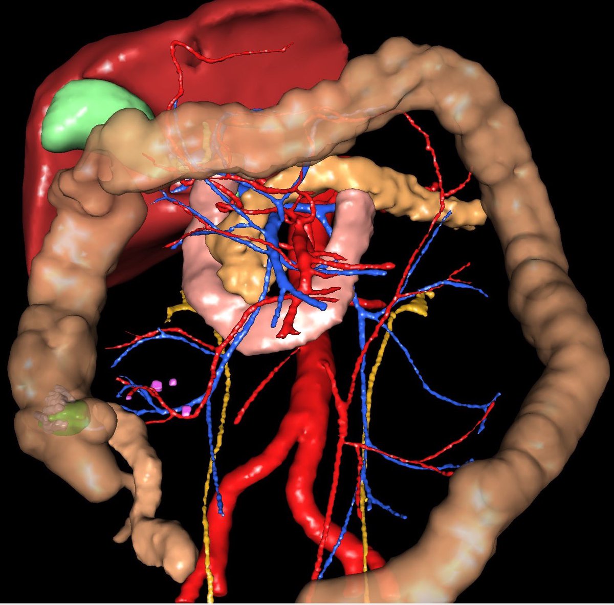 MaterSurgery tweet media