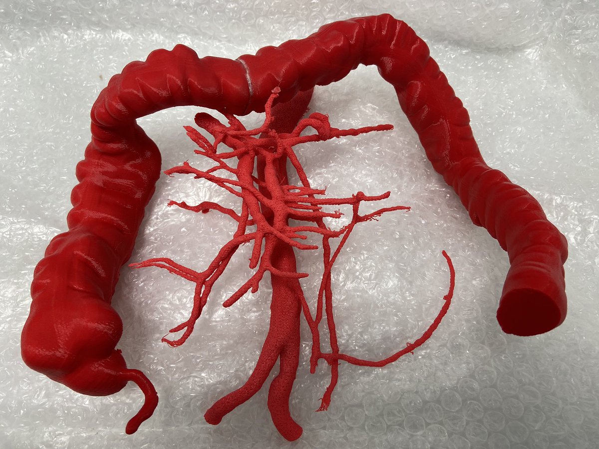 MaterSurgery tweet media