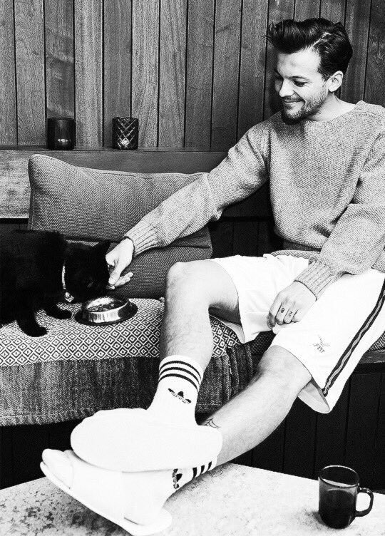 chicagoblvd's tweet photo. a thread of Louis Tomlinson being:

cute as hell                 what the hell https://t.co/1RkQKd49Eu
