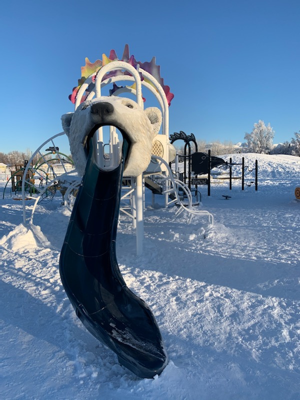 ANCParksandRec's tweet photo. Hey, polar bear. #AnchorageParks https://t.co/9NmHwnD78l