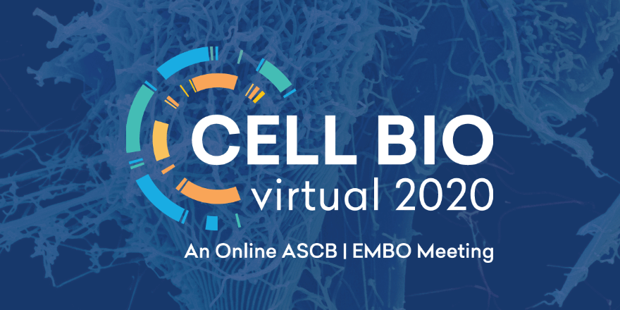ASCBiology's tweet photo. Recorded sessions from the first week of #cellbio2020 - Education and Professional Development - are now be available on demand until January 15. You can even register now! Give yourself the gift of connecting with your professional scientific community!
https://t.co/YDUG9IO8YF https://t.co/rb1AK4zc5I