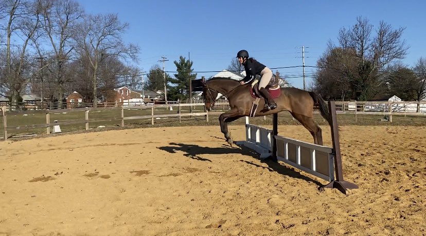UMBCEquestrian's tweet photo. Congratulations to our former President/ Secretary Maya Scheirer for graduating today! We wish her luck on her post college plans and hope to see her back soon ☺️🎉 #UMBCgrad https://t.co/kIvW2MeiuD