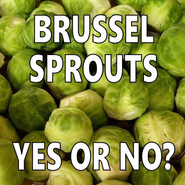 WeStudentNurse's tweet photo. #WeStNsJustForFun

Brussel sprouts... yes or no?

#WeStNs https://t.co/TBLHS7iaX9