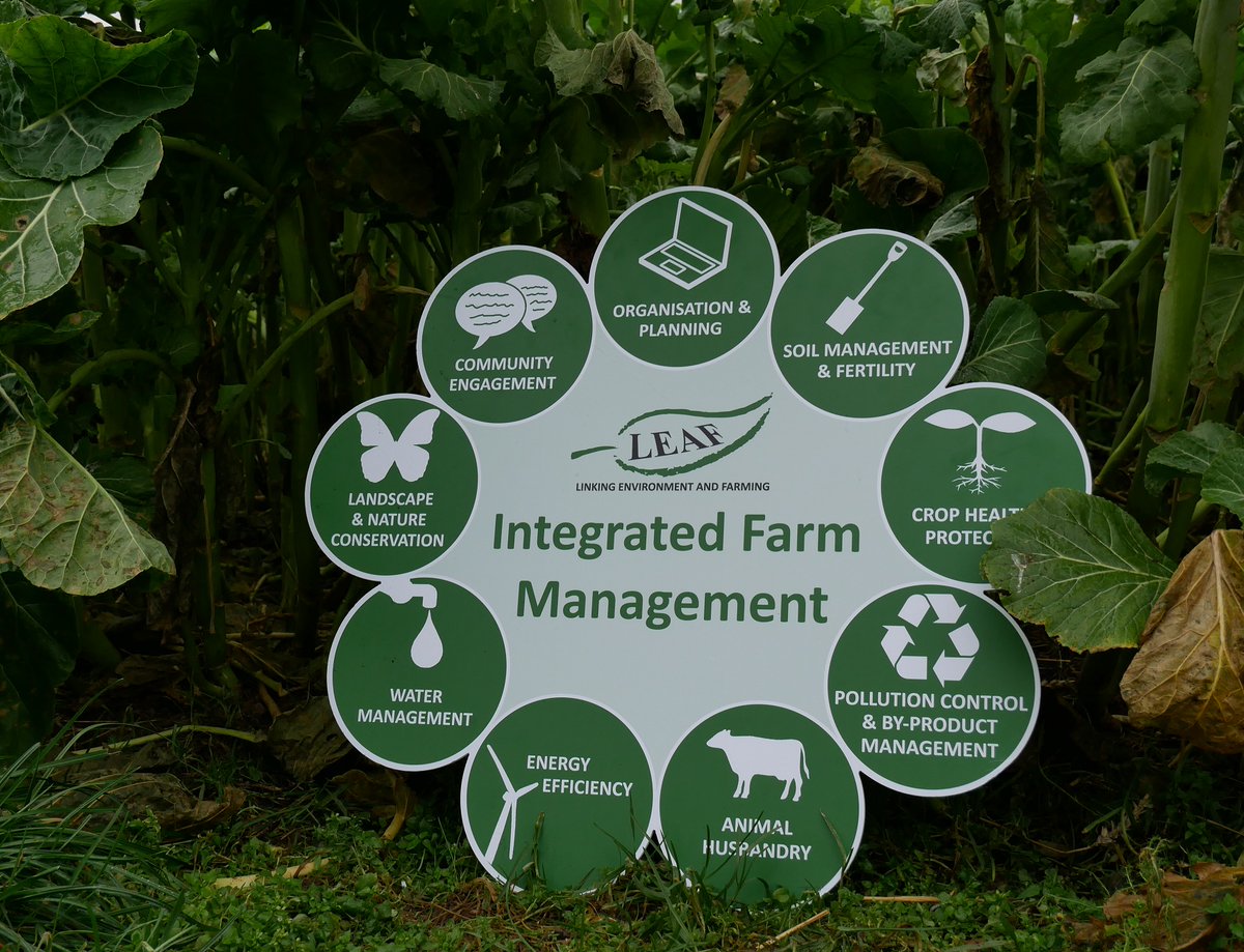 LEAF_Farming's tweet photo. Looking for a new challenge for 2021? Come join our fabulous team! We're recruiting for a Technical Assistant. If you're interested in #SustainableAg #Environment #KnowledgeExcchange then we want to hear from you. 🚜🥕🐝🌍🥦
Closing date: 8th Jan 2021. 
👉https://t.co/Oc5UhsG6yC https://t.co/kv9oNvCCFY
