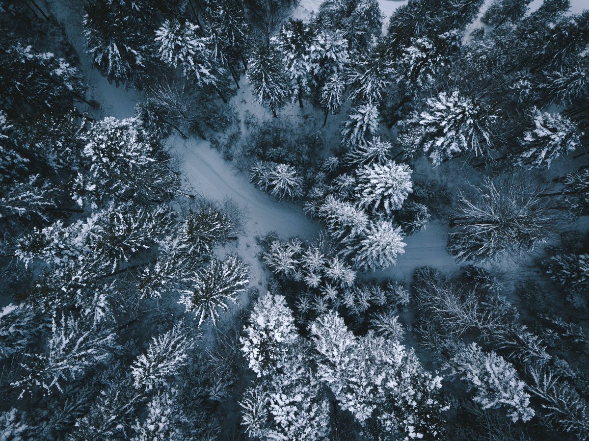 Indigo_RES_inc's tweet photo. Who is ready for #winter in the #PNW? Bring on the crackling logs and hot chocolate. ☕ https://t.co/SxoPdEDnQV
