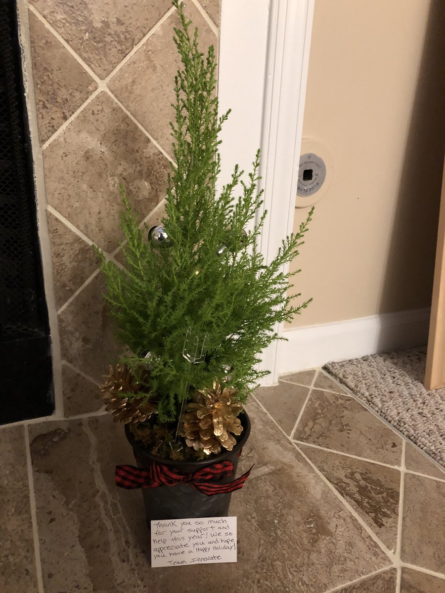 THANK you to 6th grade team INNOVATE for the beautiful tree.
#wearecarroll