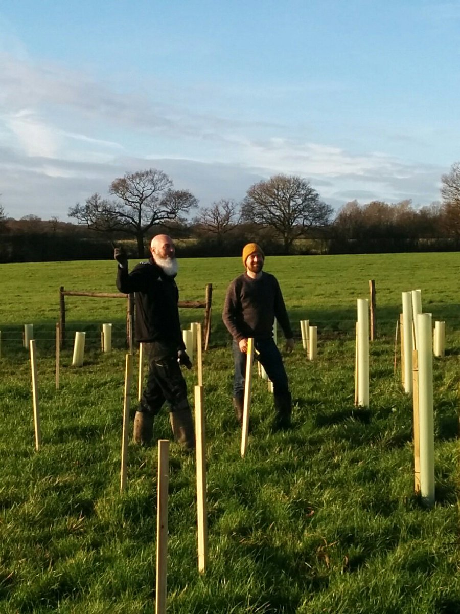 AlisonJArcher's tweet photo. More #tree-planting with the @Thames21 team today, who walk the walk. Teamwork outside helps #wellbeing as well as the environment! #GetOutside #employeewellbeing #CovidSafe #TreesForRivers  Book  now for a great start to 2020  https://t.co/AegVqKJVcN. https://t.co/IYfJNtoqCs