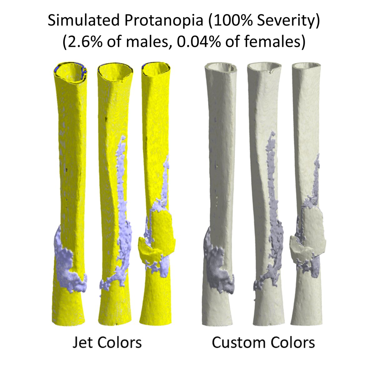 These models of human tibial fractures by  @P_Schwarzenberg were reconstructed from CT scans. Color scales show tissue density. Jet reveals the callus, but is not visually appealing with colorblindness. The new colormap is more pleasing and intuitive, even in grayscale.